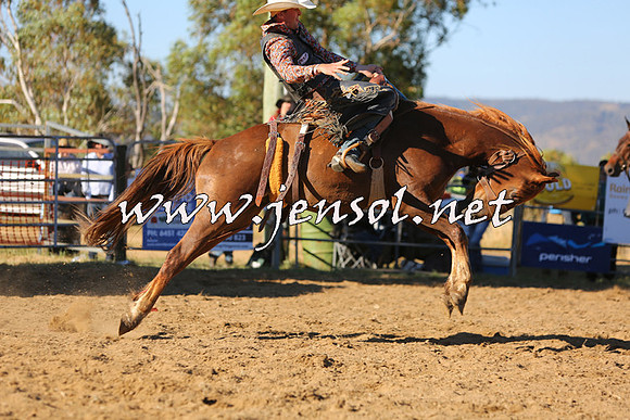 JindabyneRodeo2015_2838