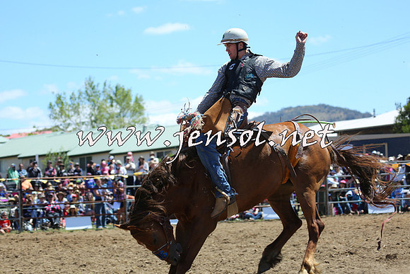 JindabyneRodeo2015_1538