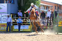 JindabyneRodeo2015_1456