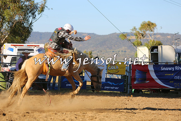 JindabyneRodeo2015_2849