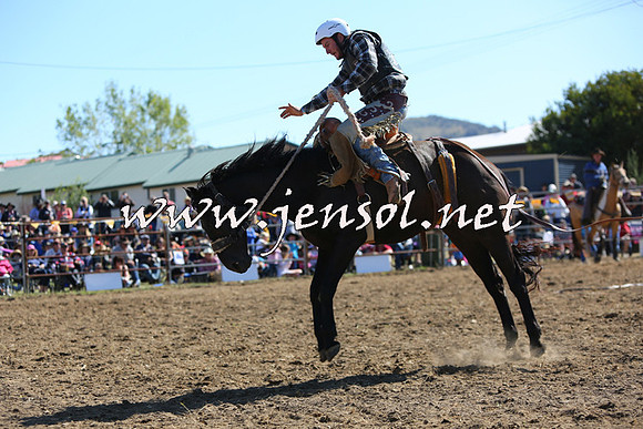 JindabyneRodeo2015_2183