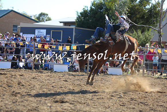JindabyneRodeo2015_2604