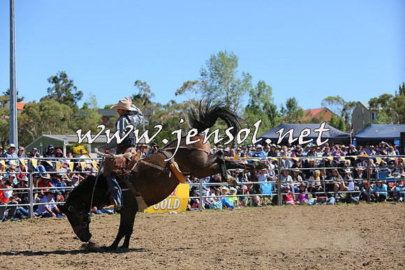 JindabyneRodeo2015_1839