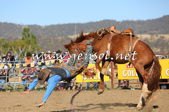 JindabyneRodeo2015_2829