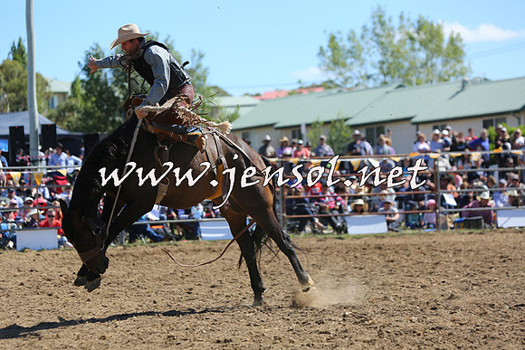 JindabyneRodeo2015_1823