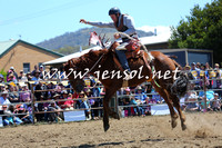 JindabyneRodeo2015_1494