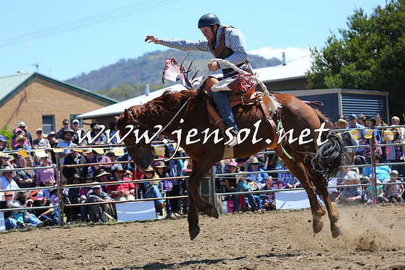 JindabyneRodeo2015_1494