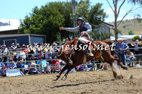 JindabyneRodeo2015_1487