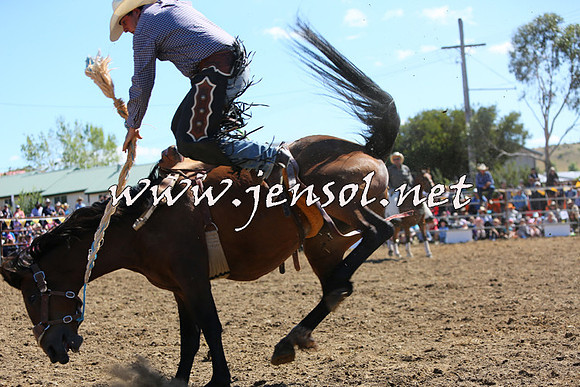 JindabyneRodeo2015_1916