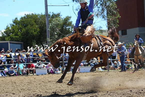JindabyneRodeo2015_1433
