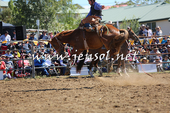 JindabyneRodeo2015_1814