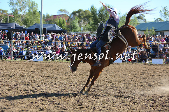 JindabyneRodeo2015_2612