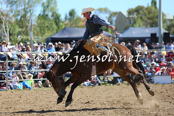 JindabyneRodeo2015_1875