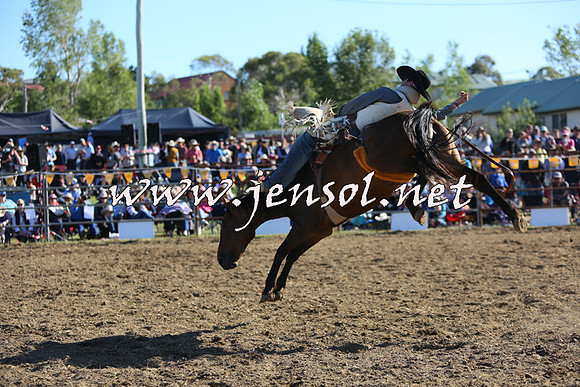 JindabyneRodeo2015_2663