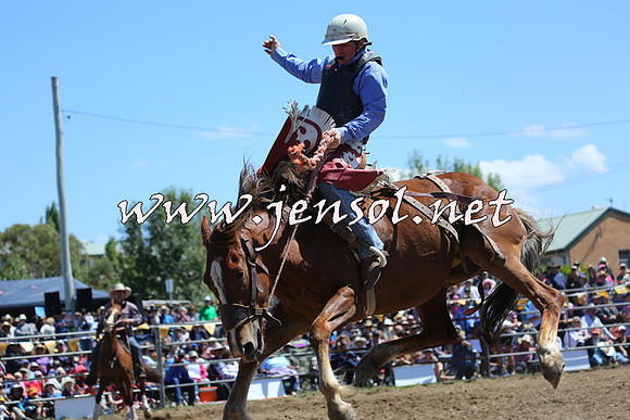JindabyneRodeo2015_1517