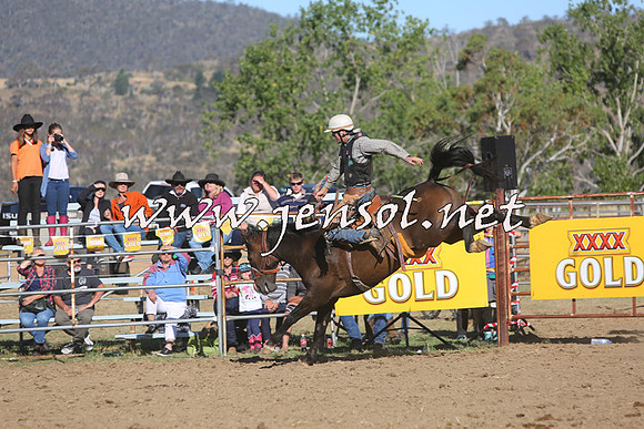 JindabyneRodeo2015_2761