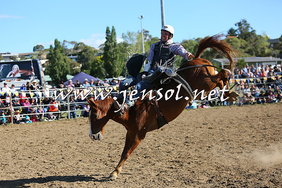 JindabyneRodeo2015_2620