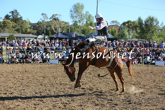 JindabyneRodeo2015_2605