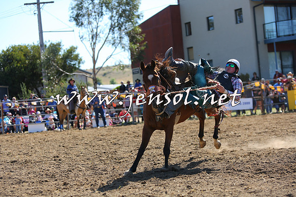 JindabyneRodeo2015_2186