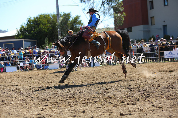 JindabyneRodeo2015_1849