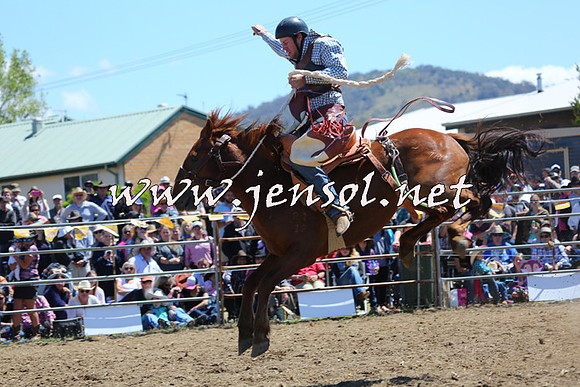 JindabyneRodeo2015_1488