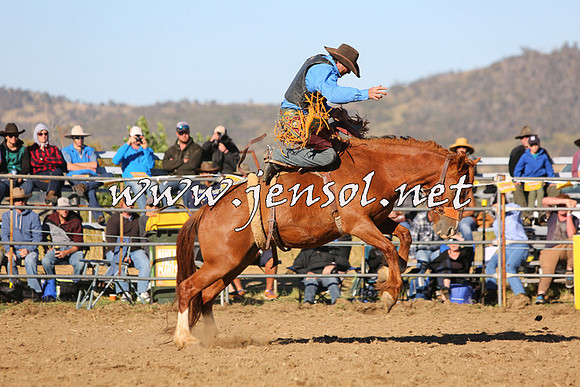 JindabyneRodeo2015_2815