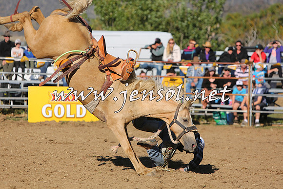 JindabyneRodeo2015_2861
