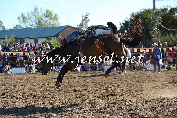 JindabyneRodeo2015_2670