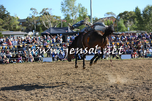 JindabyneRodeo2015_2678