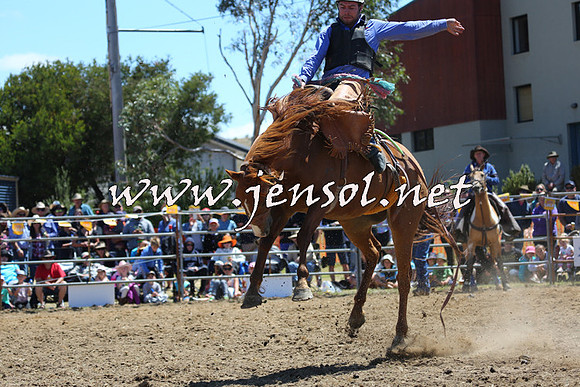 JindabyneRodeo2015_1431