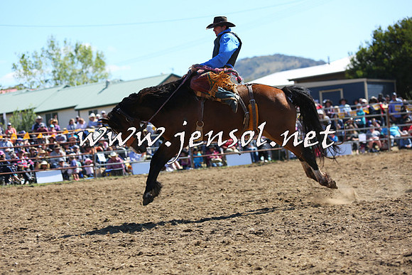 JindabyneRodeo2015_1848