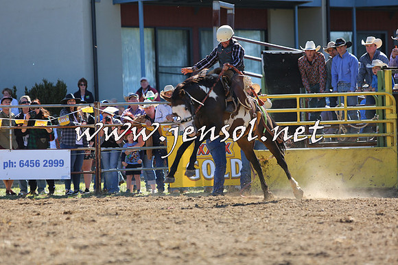 JindabyneRodeo2015_2208