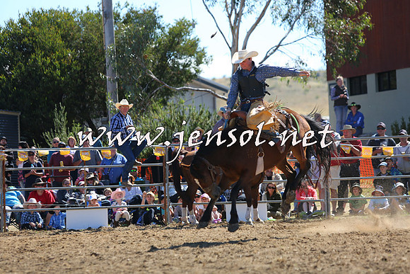 JindabyneRodeo2015_1867