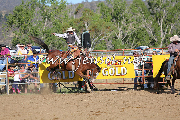 JindabyneRodeo2015_2780