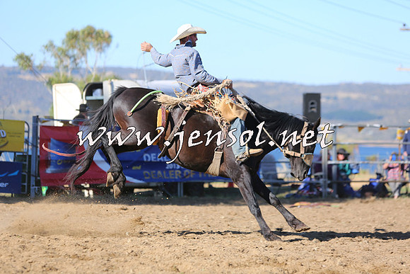 JindabyneRodeo2015_2790