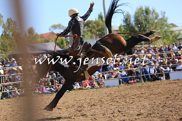 JindabyneRodeo2015_2225