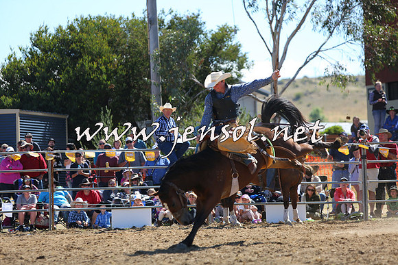 JindabyneRodeo2015_1870