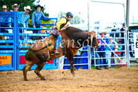 BraidwoodRodeo2017_1550