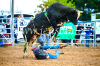 BraidwoodRodeo2017_1517