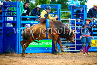 BraidwoodRodeo2017_1532