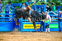 BraidwoodRodeo2017_1579
