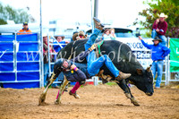 BraidwoodRodeo2017_1512