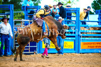 BraidwoodRodeo2017_1538