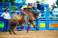 BraidwoodRodeo2017_1537