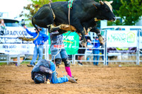 BraidwoodRodeo2017_1530