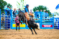 BraidwoodRodeo2017_1592