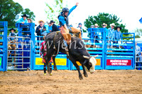 BraidwoodRodeo2017_1593
