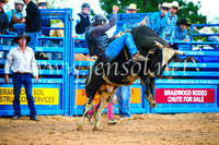 BraidwoodRodeo2017_1506