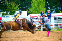 BraidwoodRodeo2017_1565