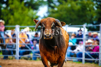 BraidwoodRodeo2017_1572